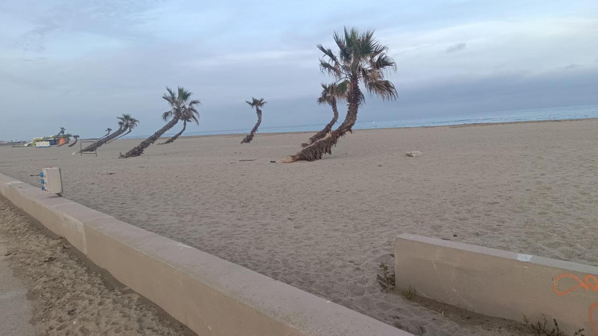 Les 2 Dauphins Βίλα Le Barcarès Εξωτερικό φωτογραφία